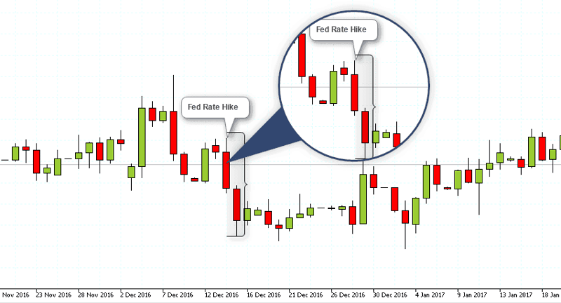 Euro FX 7 Things You Must Know Before Trading